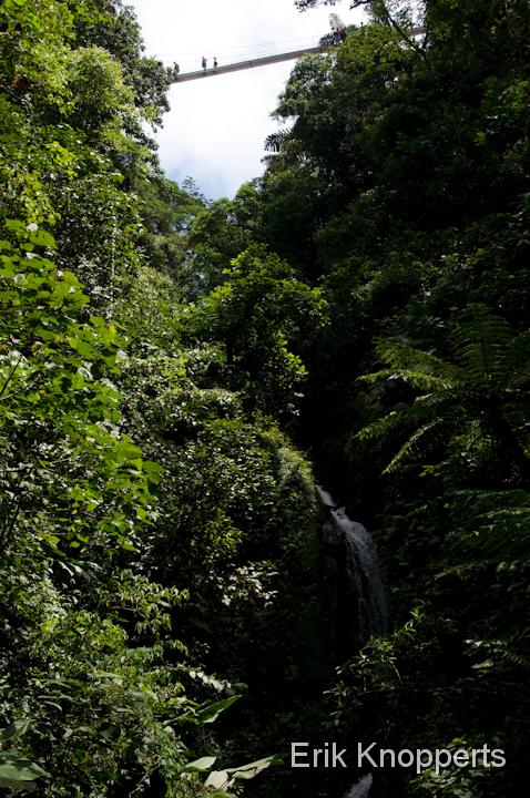 El Arenal - Hanging bridges-9.jpg